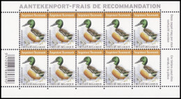 4537** - Canard Souchet / Slobeend / Löffelente / Shoveler - BUZIN - RECOMMANDÉ / AANGETEKEND - 2011-2020