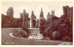 WALES - CARDIFF Castle - Carte Postale Ancienne - Glamorgan