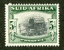 5620 BCx S. Africa 1954 Scott 66b M* (Lower Bids 20% Off) - Ungebraucht