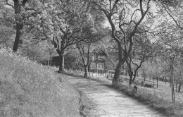 Appenzellerhäuser Zwischen Walzenhausen - Heiden - Heiden