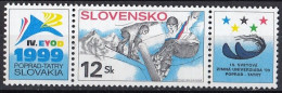 SLOVAKIA 329,unused - Skateboard