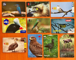 10 Different Phonecards Birds Themes - Autres & Non Classés