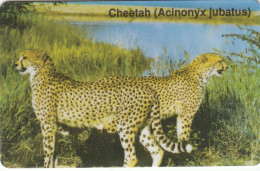 Namibia Phonecard - Superb Fine Used (Dashed Zero) Ø - Namibie