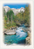 CPSM / CPM 10.5 X 15 Image Des ALPES ( Savoie ? )  Pics Enneigés Torrent  Forêt  Cliché C. Martin - Rhône-Alpes