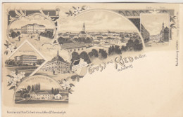 D1634) GRUSS Aus RIED Im INNKREIS - LITHO - Kreisgericht - Gymnasium Bad St. Thomas Rathaus Einig U. Stark Alt ! - Ried Im Innkreis