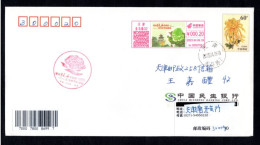 "Only The Peony Is Really National Beauty Shocking The City" Postage Meter,China 2023 Anti-counterfeiting Meter,FDC - Storia Postale