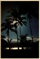 Hawaii Hilo Moonlight Over Maunakea From Coconut Island - Hilo