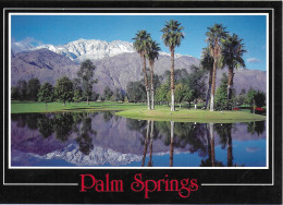 PALM SPRINGS, CALIFORNIA, UNITED STATES. UNUSED POSTCARD   Wp3 - Palm Springs