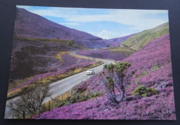 The Slochd Pass Between Carrbridge And Inverness - J. Arthur Dixon - A Dickinson Robinson Group Product - # PIN/85870 - Inverness-shire