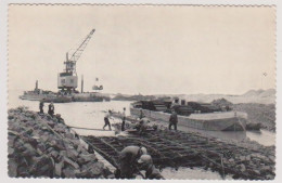 Flevoland - Dijkbouw - Het Storten Van Basaltstenen Op Een Zinkstuk - Other & Unclassified