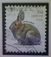 United States, Scott #5544, Used(o), 2021 Definitive, Brush Rabbit, (20¢), Gray - Gebraucht