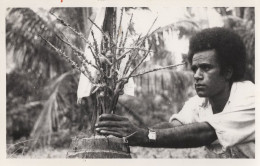 Fiji Man Studying Plantation Vintage PB Postcard Photo - Figi