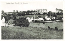 BELGIQUE - Wauthier-Braine - Lieu-dit : Le Sacrement - Campagne - Vaches - Carte Postale Ancienne - Nivelles