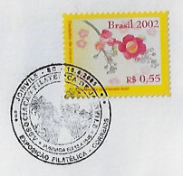 Brazil 2005 Cover Comemmorative Cancel Exhibition Organized By The Philatelic Association Of Joinville Palm Tree Street - Lettres & Documents