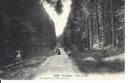 VAUD BALLAIGUES - BOIS DE BAN - Photographie Des Arts, Lausanne No 3243  - Circulé Le 24.08.1908 Vers Lyon - Ballaigues