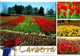 19-7-2023 (2 S 39) Australia - ACT - Floriade Festival - Flower & Bird (Canberra) - Canberra (ACT)