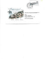 Germany -  Postal Stationery Envelope 2002  -   Museum Island Berlin - Umschläge - Gebraucht