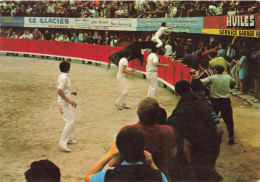 Corrida * Course Libre De Taureaux * Un Joli Coup De Barrière , Manade LAURENT * Torero Arènes - Corrida