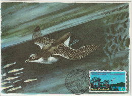 Nouvelle Zélande Carte Maximum 1973 Protection Des Forets Et Oiseaux 583 - Lettres & Documents