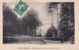 SAINT MARTIN DU TERTRE(ARBRE) - Saint-Martin-du-Tertre