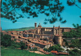 Urbino - Panorama - 62 - Formato Grande Viaggiata – FE390 - Urbino