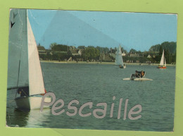 72 SARTHE - CP ANIMEE TUFFE - LE LAC DE 18 Ha VOILES BARQUES PEDALOS TENNIS CAMPING PARKING ...VOILIERS DEVANT LA PLAGE - Tuffe