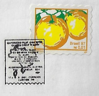 2001 Cover Comemmorative Cancel Philatelic Exhibition Germany Brazil Austria In Curitiba Map - Lettres & Documents