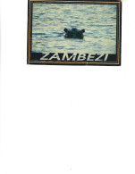 Zimbabwe  - Postcard Used 1995 -  The Hippopotamus   2/scsns - Zimbabwe