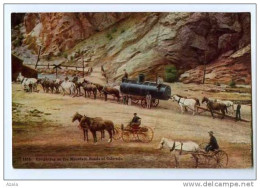 010556  -  Freighting On The Mountain Roads Of Colorado - Rocky Mountains