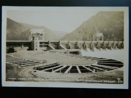 FISH LADDERS            NORTH SIDE BONNEVILLE DAM          WASHINGTON         OREGON - Altri & Non Classificati