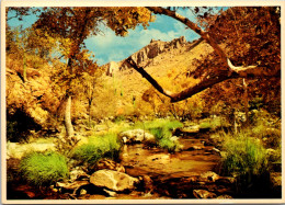 Arizona Tucson Sabino Canyon With Autumn Foliage - Tucson