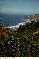 Oregon Coast Boardman State Park Overlooking The Pacific Ocean - Altri & Non Classificati