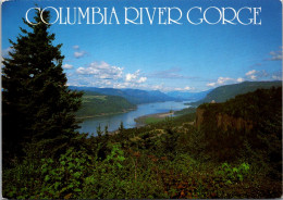 Oregon Columbia River Gorge Looking East Toward Crown Point - Altri & Non Classificati