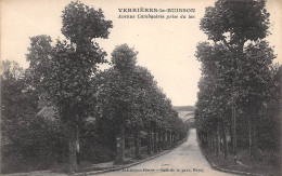 Verrières Le Buisson            91            Avenue Cambacérès Prise Du  Lac                   (voir Scan) - Verrieres Le Buisson