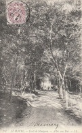 76 - LE HAVRE - La Forêt De Montgeon - Allée Sous Bois - Forêt De Montgeon