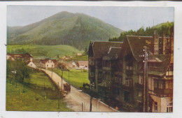 A 8684 STEINHAUS AM SEMMERING, Stuhleckerhof - Steinhaus Am Semmering