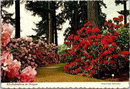 Oregon Portland Rhododendron Test Gardens - Portland