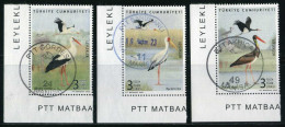 Türkiye 2020 Mi 4597-4599 Storks: White Stork, Yellow-Billed Stork, Black Stork, Birds, Animals (Fauna) - Oblitérés