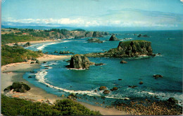 Oregon Harris Beach State Park Along Coast Highway 101 1959 - Altri & Non Classificati