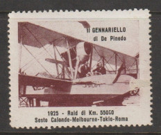 Italy Cinderella Vignetta Erinnofilia ,1925 Il Gennariello Di De Pinedo,mint Never Hinged, - Autocollants