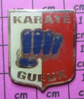 2117 Pin's Pins / Beau Et Rare / SPORTS / POING CLUB KARATE GUEUX - Judo