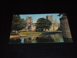 62846-             ENGLAND, WELLS CATHEDRAL, SOMERSET, BISHOP'S PALACE MOAT - Wells