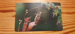 Phonecard Taiwan IC00C041 - Insect - Taiwan (Formose)