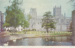 The Moat, Wells Cathedral, Somerset  - Unused Postcard - UK8 - Wells