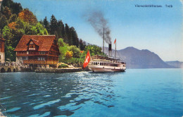 SUISSE - Vierwaldstättersee - Treib - Carte Postale Ancienne - Wald