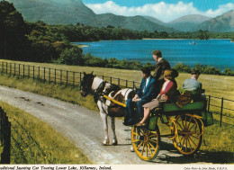 Ireland - Jauting Car Touring Lower Lake, Killarney - Kerry