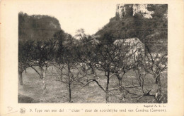 BELGIQUE - Type Van Een Dal : "cluse" Door De Noordelijke Rand Van Condroz (Samson) - Carte Postale Ancienne - Other & Unclassified