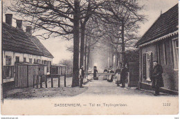 Sassenheim Teylingerlaan Tol WP1888 - Sassenheim