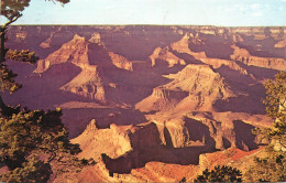 United States >  AZ - Arizona > Grand Canyon - Grand Canyon