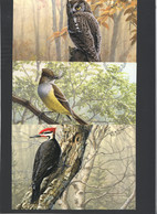 1998 Birds: Owl, Puffins, Flycatcher, Hummingbird, Woodpecker - Oiseaux - Set Of 5 Cards - 1953-.... Règne D'Elizabeth II